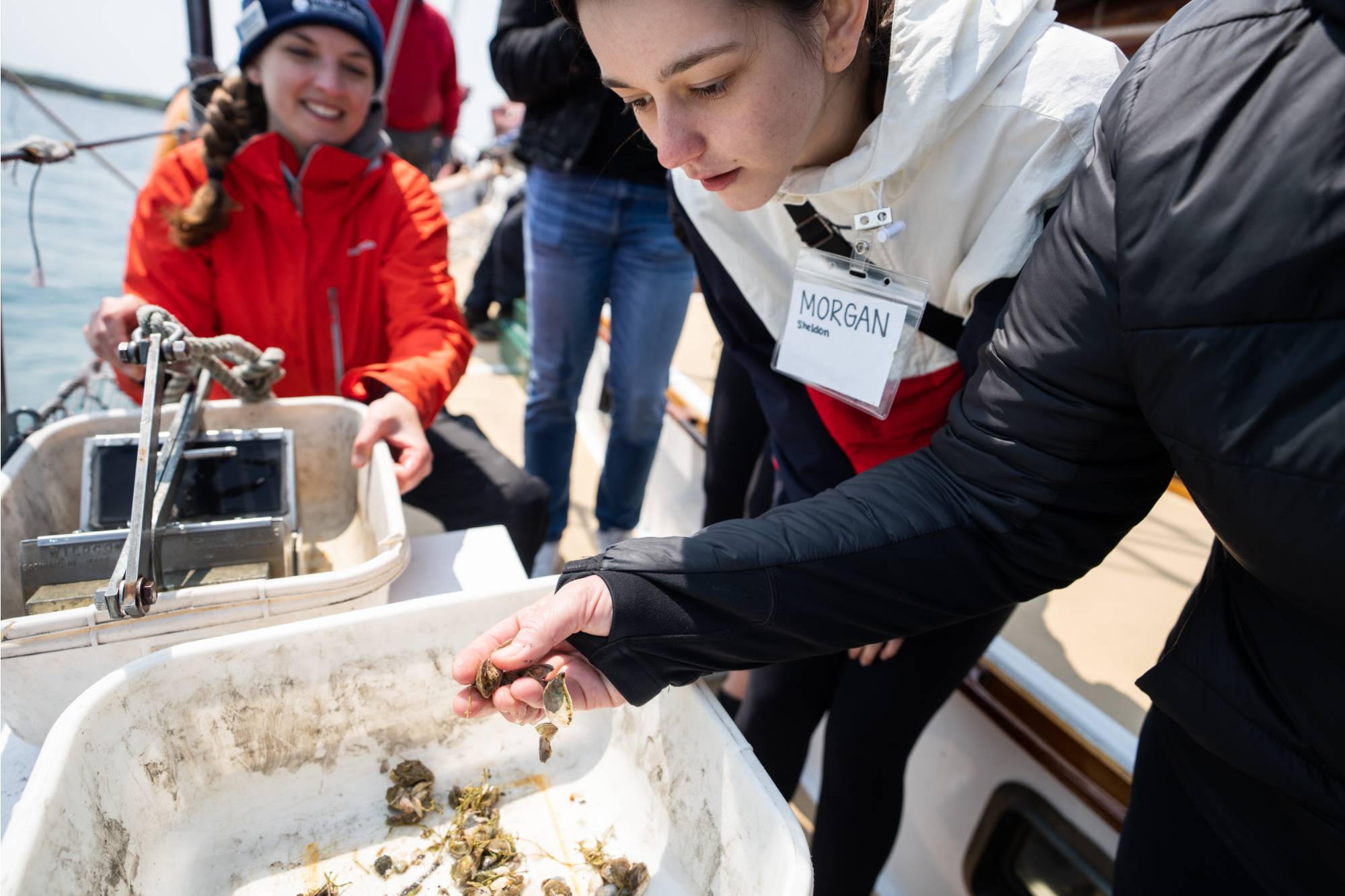 Study Invasive Species